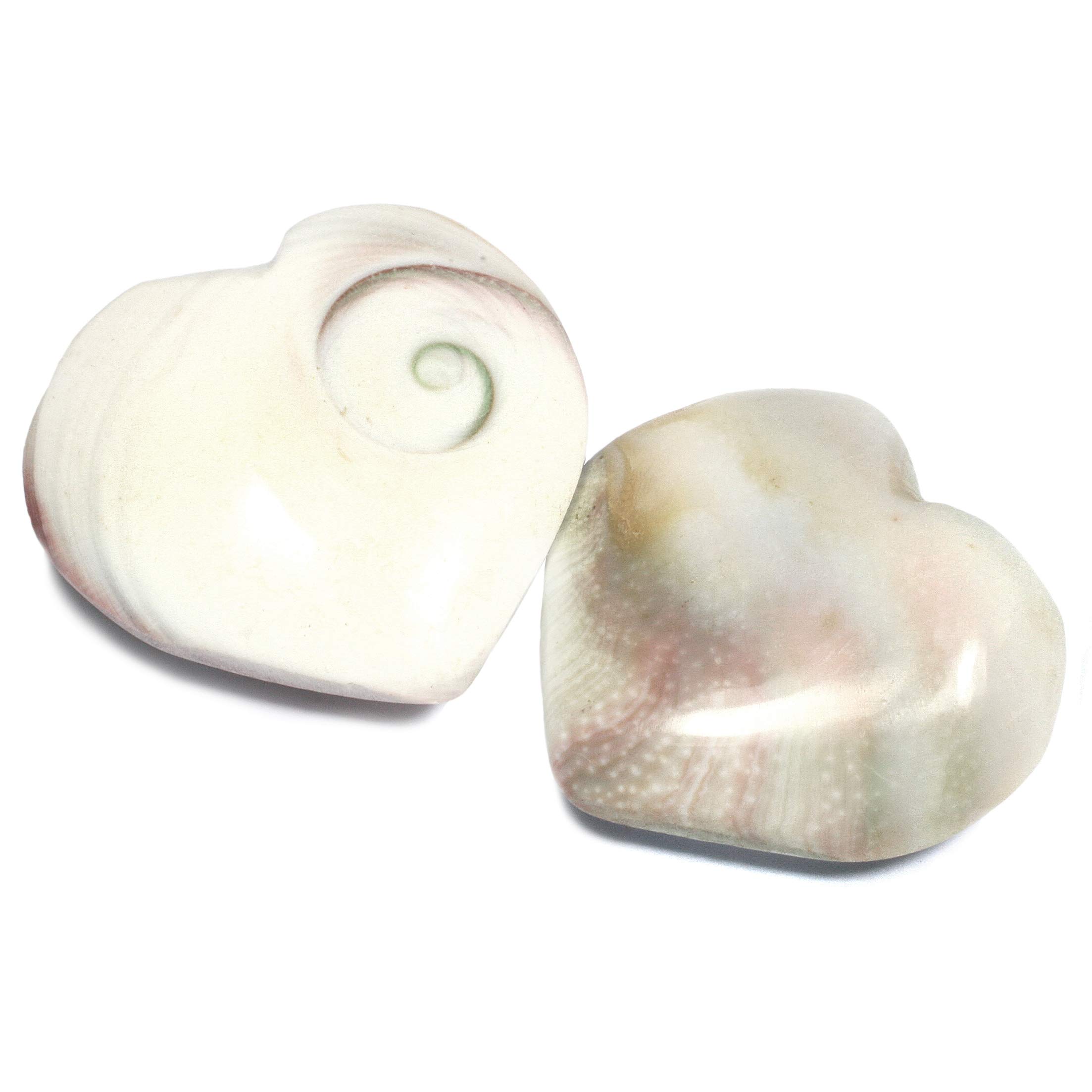 CrystalAge Shiva Shell Heart ~32-35mm