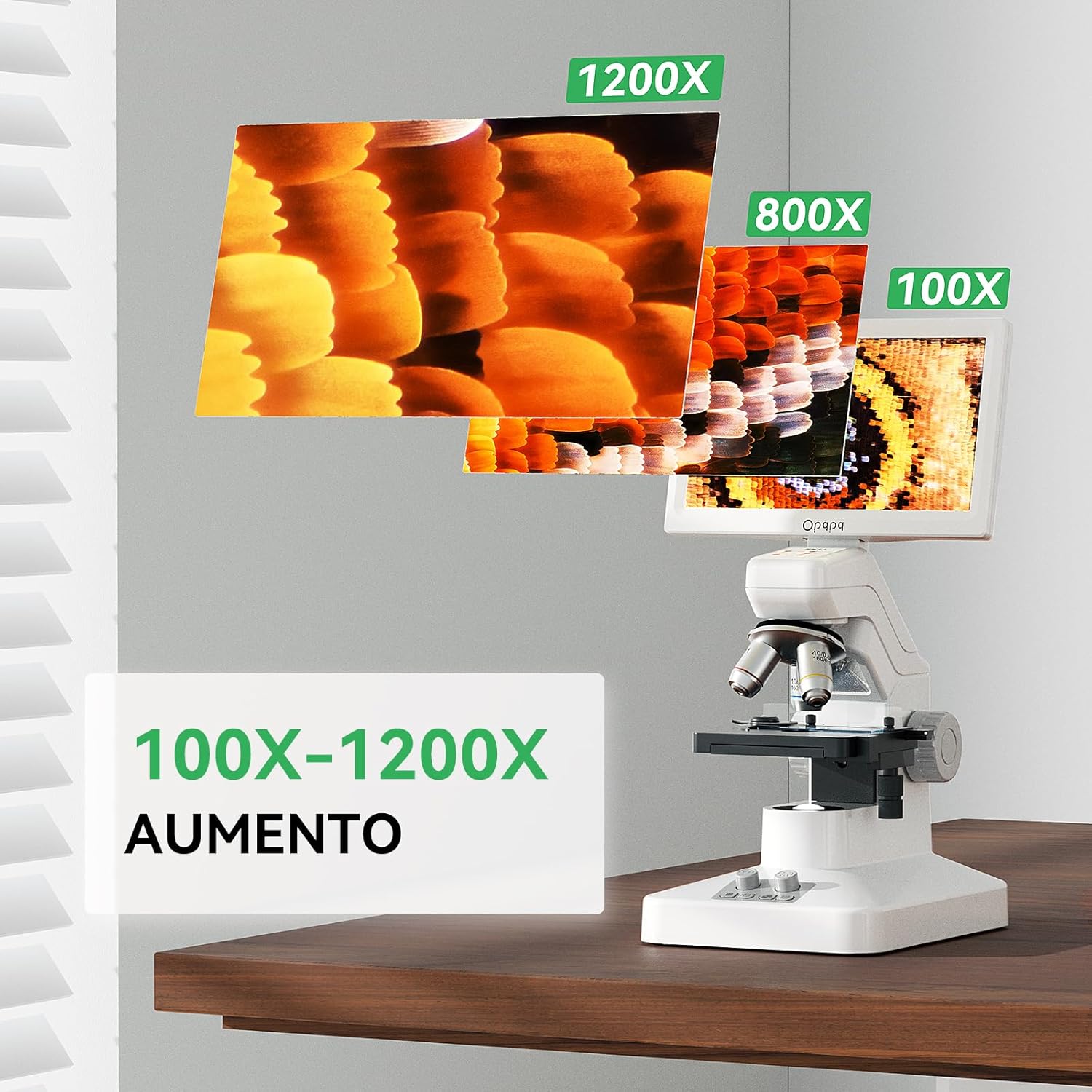 Microscope showing 100X, 800X, and 1200X magnification views