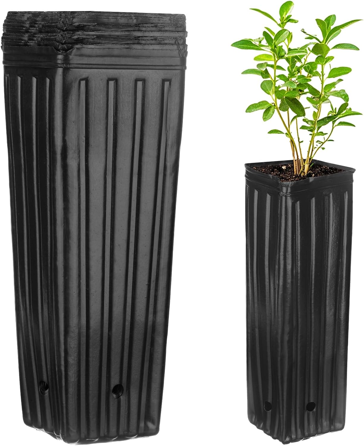 M METERXITY 20-Pack Plant Nursery Pots, 4.72x4.72x12.6 Inch Plastic Deep Growing Nursery Pots Succulent Planter Flower Tree pots with Drainage Holes for Indoor Outdoor Gardening [Black]