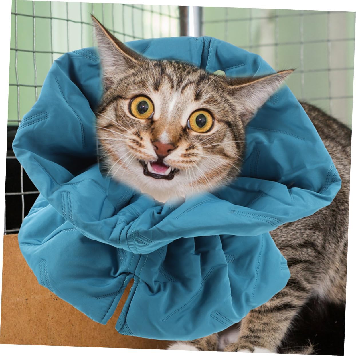balacoo 4pcs Cat Collar Adjustable Breathable Cone for Cats Soft Elizabethan Collar to Prevent Licking After Surgery Comfortable Neck Cone for Post-Operative Healing Lake