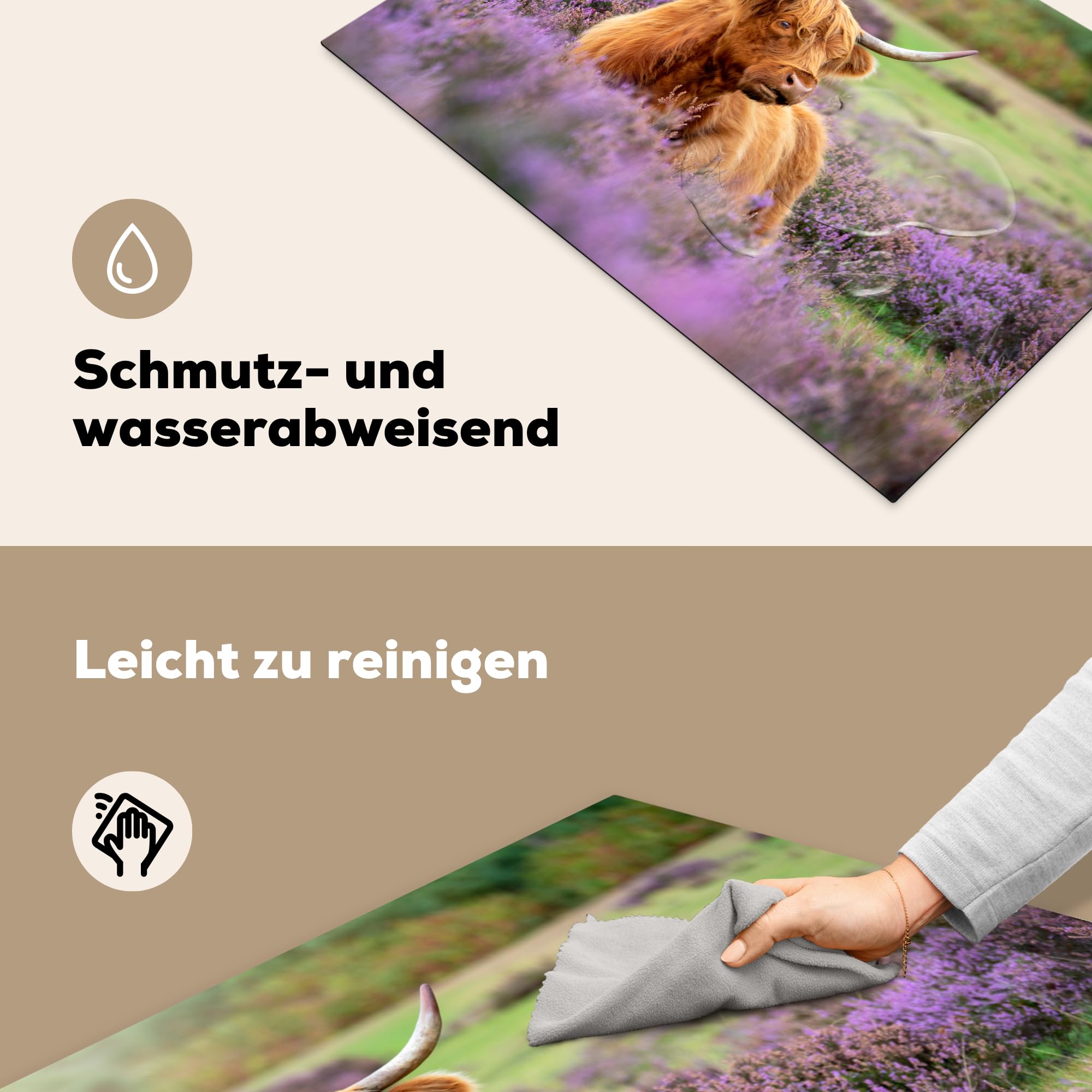 Protège-plaque à Induction - Highlander écossais - Paysage - Vache