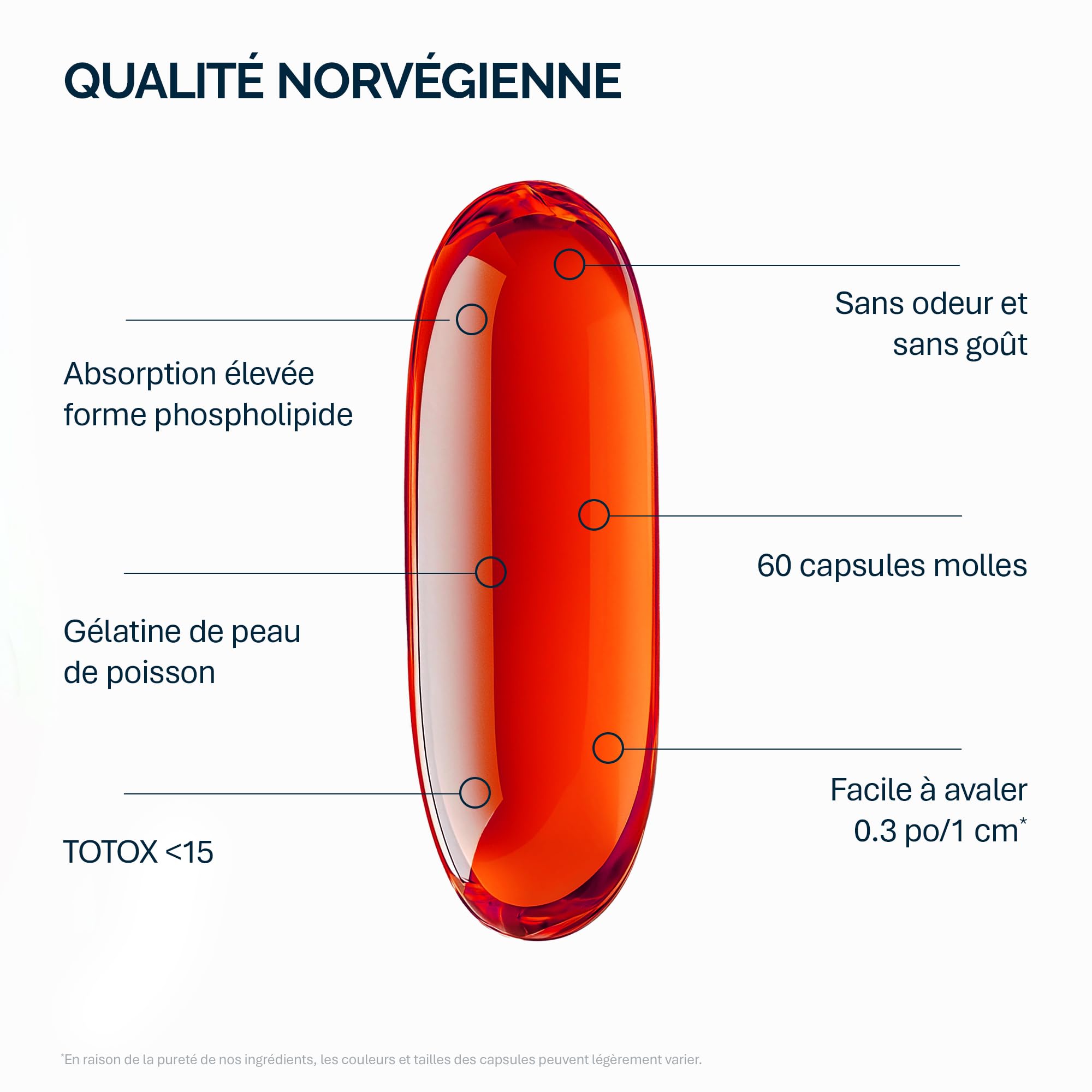 NFO OMEGA 3 KRILL OIL Astaxanthin [60 Gélules] Huile de krill de l'Antarctique avec huile de poisson de Norvège, Oméga 3 EPA & DHA, phospholipides et astaxanthine, En gélatine de peau de poisson
