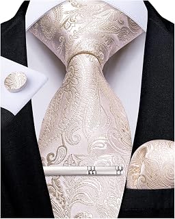 DiBanGu Herren Seidenkrawatte Paisley Floral Krawatte Set mit Einstecktuch Manschettenknöpfe Krawattenklammer für Hochzeit Business