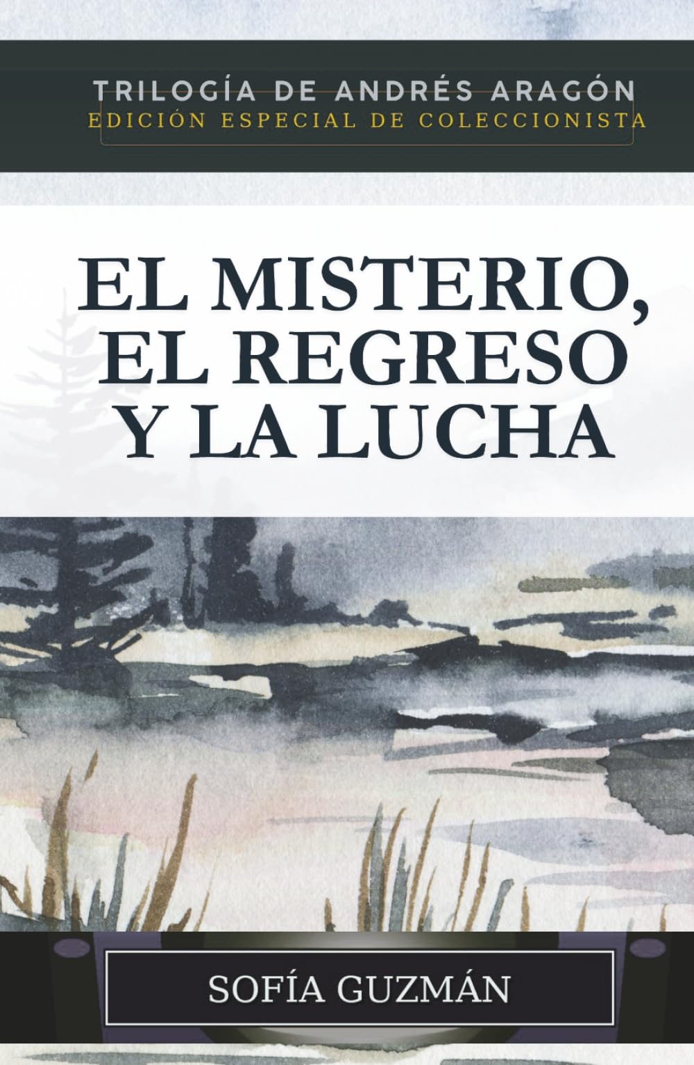 Andrés Aragón: El Misterio, El Regreso y La Lucha: Edición Especial de Coleccionista, Trilogía Completa
