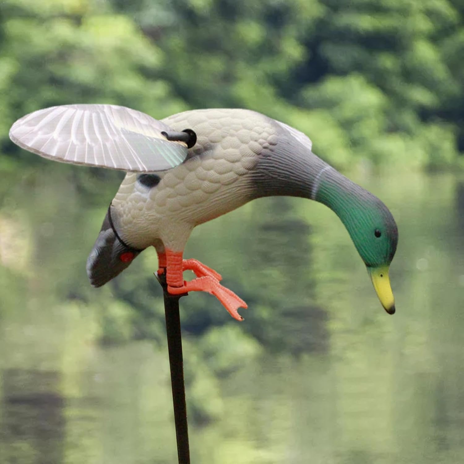 Duck decoy positioned near a body of water.