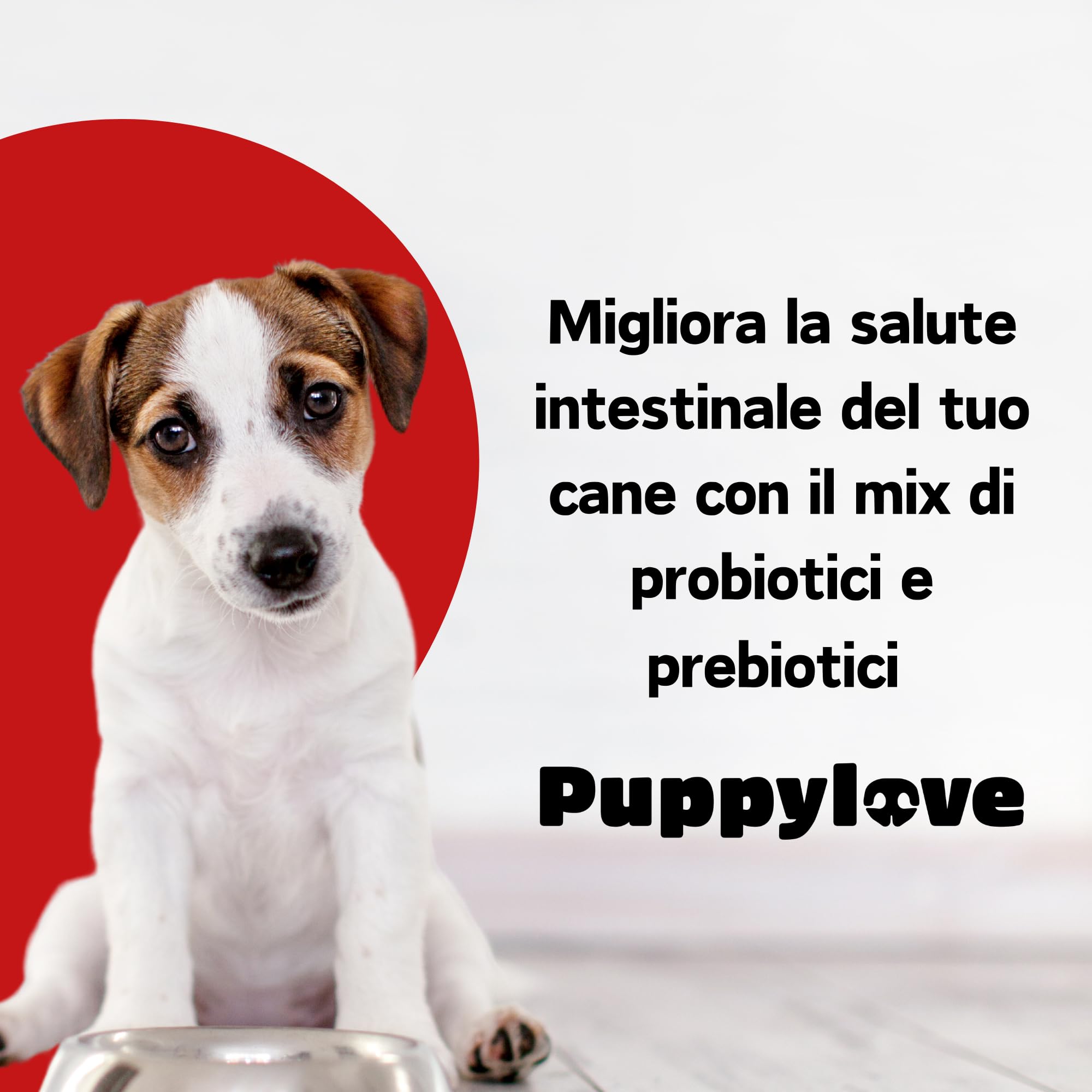 Puppylove Digestion Boost – Fermenti Lattici per Cani e Per Gatti - 100 Compresse – Probiotici e Prebiotici - Supporto Digestivo Naturale – Formula Adatta a Cani e Gatti di Tutte le Taglie
