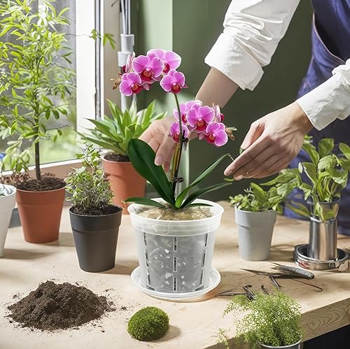 Miniatura 5 de Maceta para orquídeas Blumiger, paquete de 18 - 6 de cada una de 4,5,6 pulgadas con 18 platillos a juego, macetas para orquídeas con agujeros,