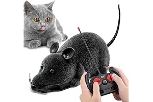Aerbee Remote Control Rat Toys for Kids