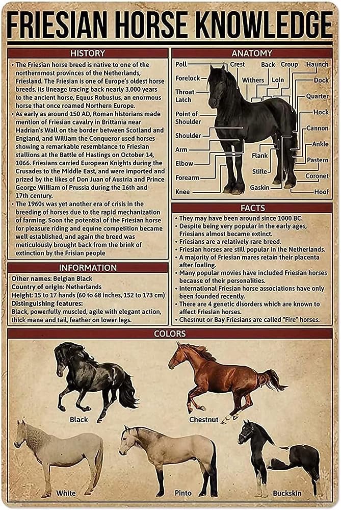 Yunking A157 Funny Tin Metal Signs Friesian Horse Knowledge Vintage Sign Retro Tin Signs Vintage Metal Tin Sign For Bar Home Wall Metal Decoration 8×12Inches
