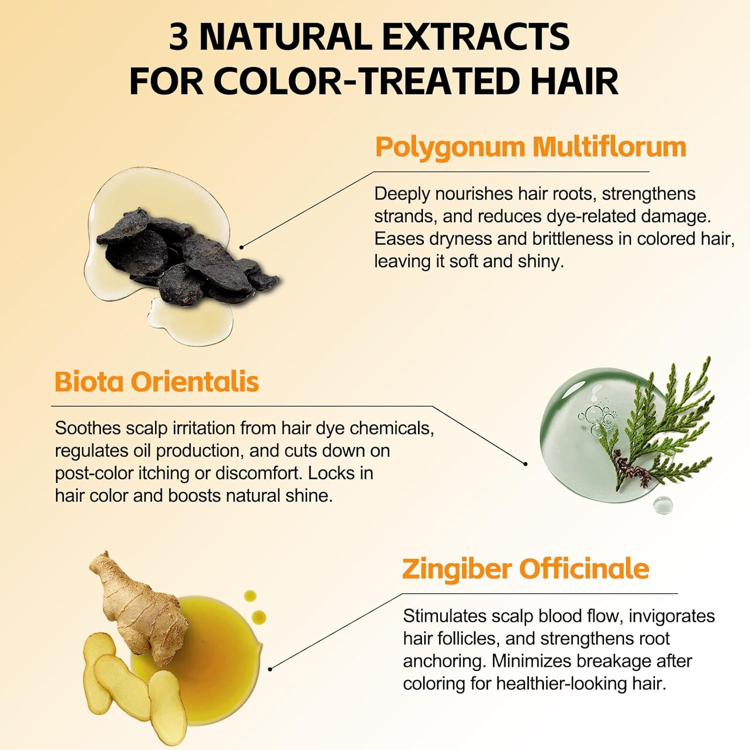 Dark Brown Hair Dye Shampoo 3 in 1 for Gray Hair Coverage, Long-lasting Hair Color Shampoo Easy At-Home Use, Safe and Gentle Formula for All Hair Types 16.9 Fl Oz (Dark Brown) - Image 5