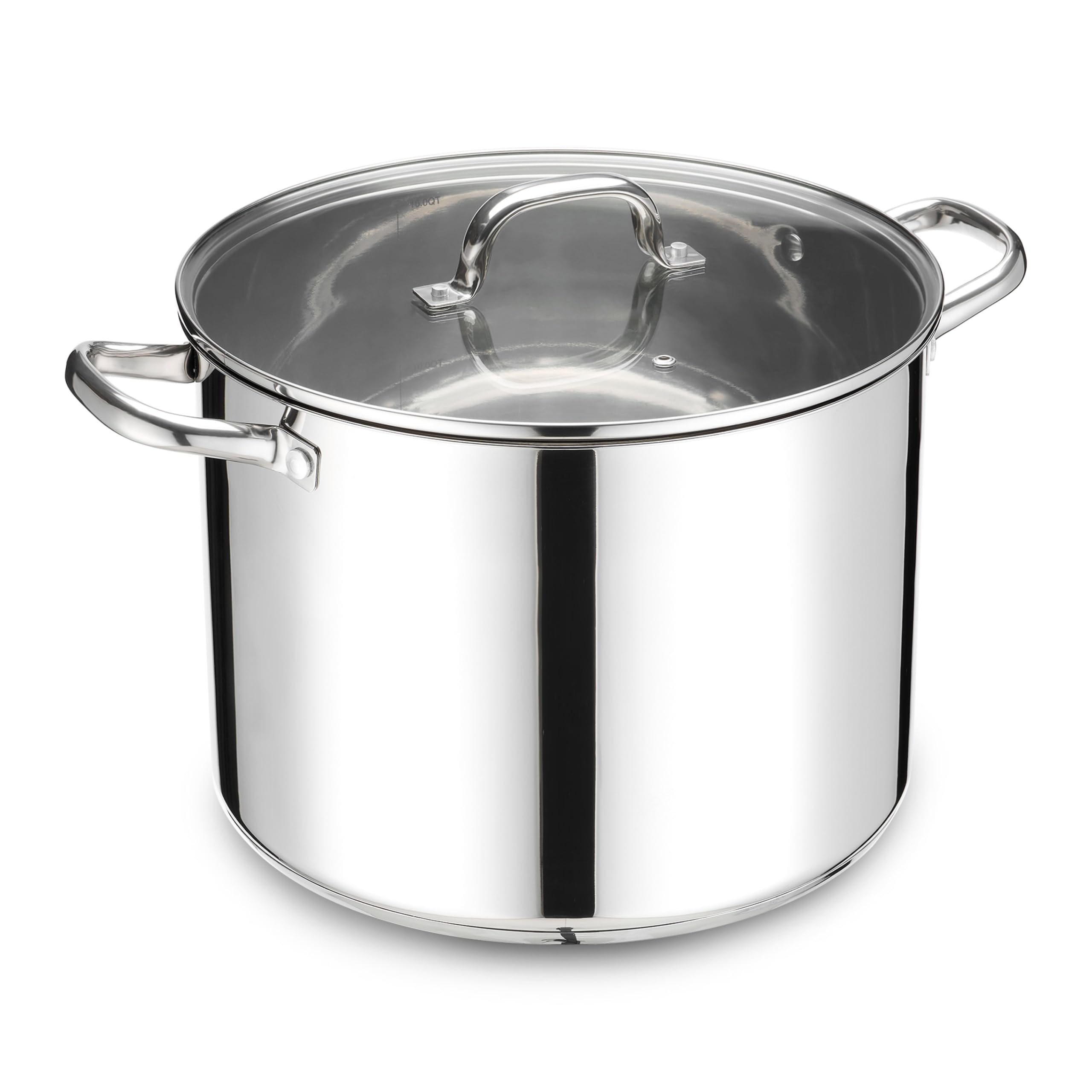 LIANYU 16 Quart Stock Pot