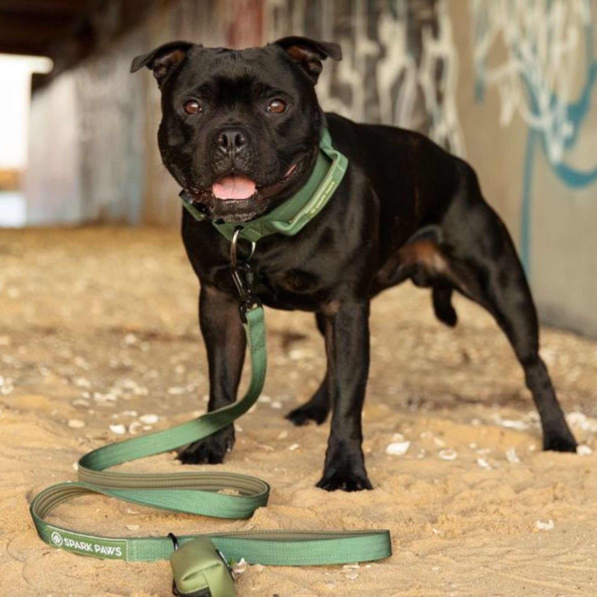 Spark Paws Juego de correa para perro y bolsas de excrementos premium, gancho de aleación resistente para razas que tiran fuerte, cómodo, duradero y seguro - Verde militar