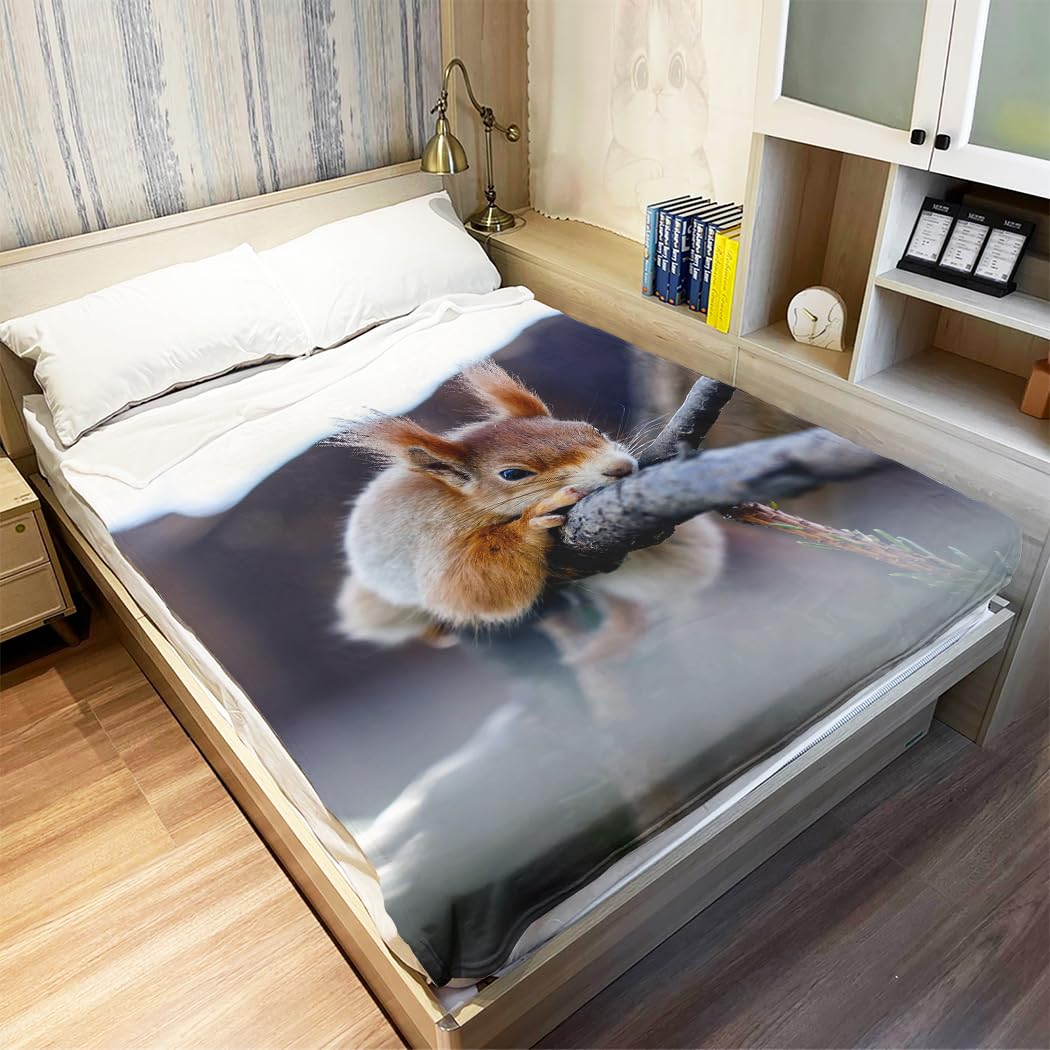 Coperta spessa e calda in pile di flanella, coperta per divano, coperta di alta qualità, super morbida, motivo scoiattolo, 150 x 200 cm