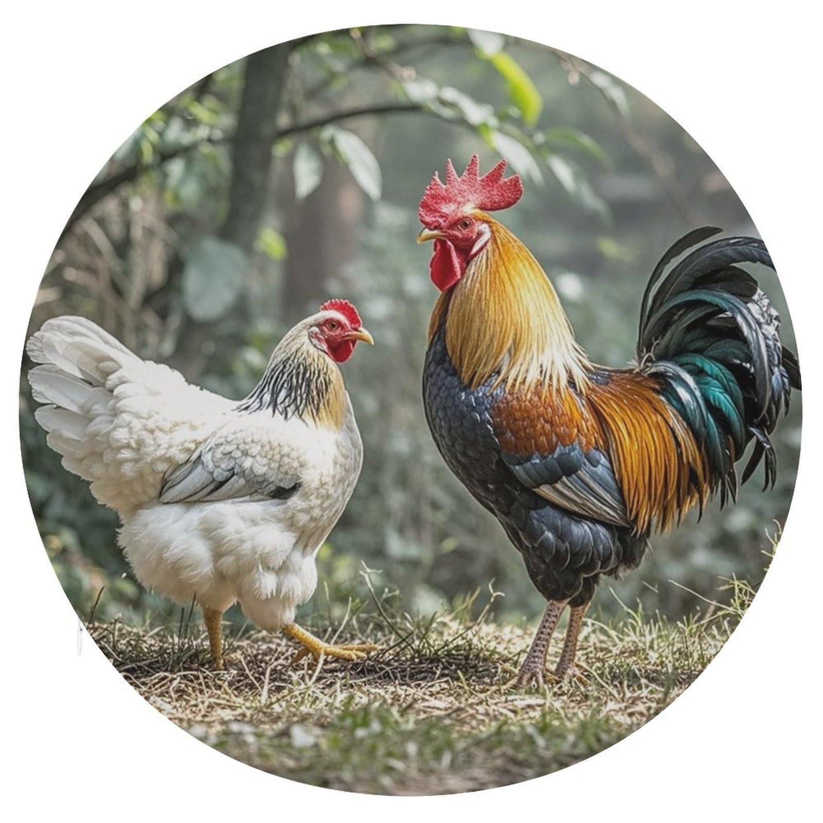 LZQPOEAS Rooster and Hen Swivel Seat Cushion with Supportive Memory Foam Comfort Round Bar Stool Cushion 15.3" Diameter Rotating Seat Cushions Fashion Chair Pad for Car Office Home