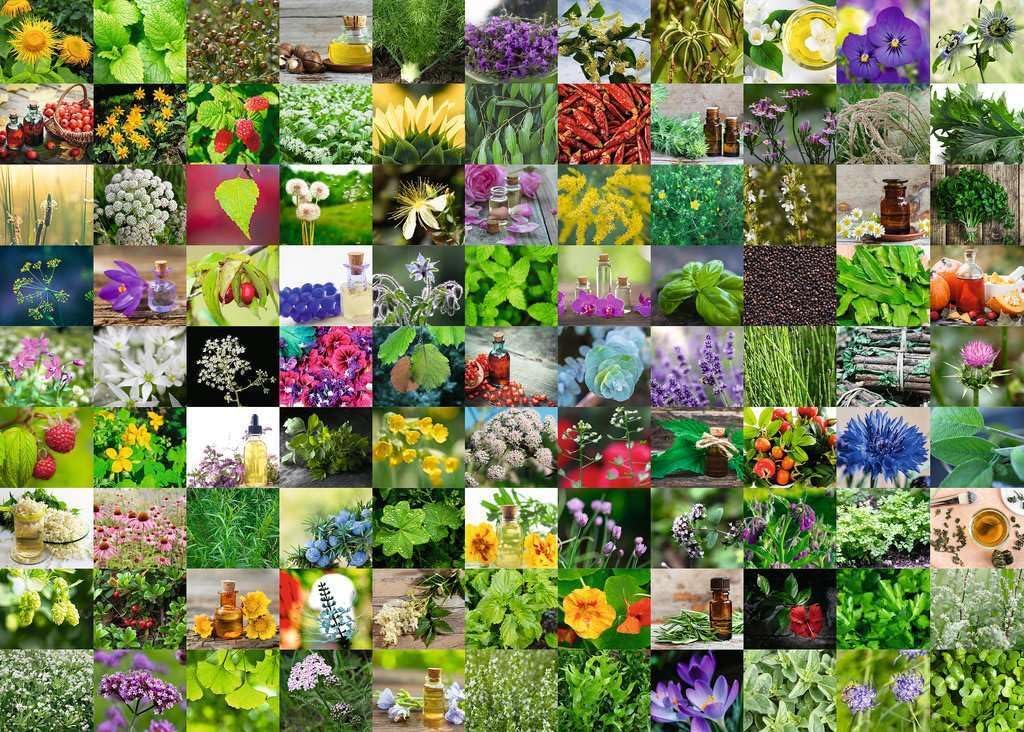 Ravensburger Puzzle 12000073-99 Herbs and Spices - 1000 Pieces Puzzle for Adults and Children from 14 Years