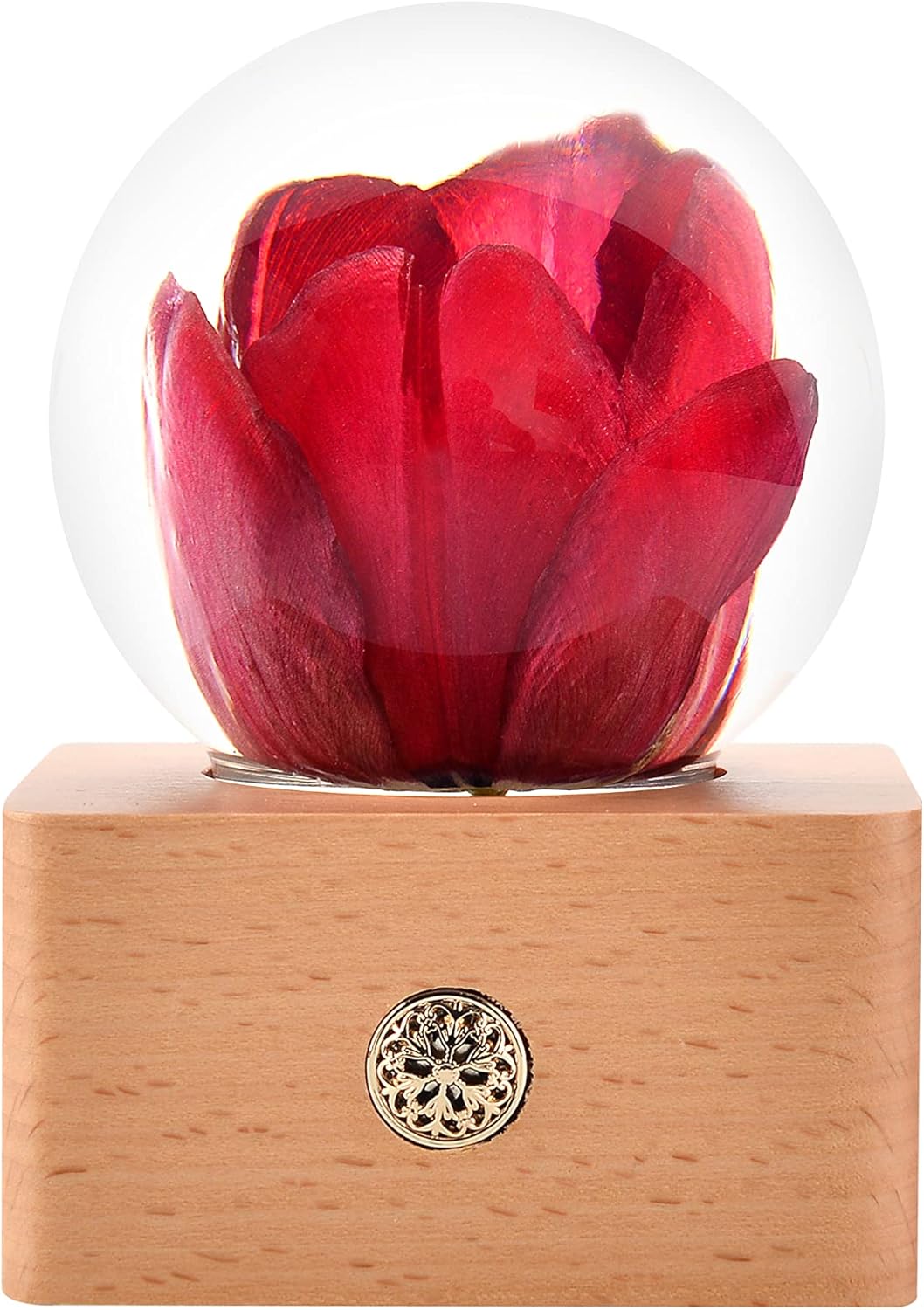 MISS LI GARDEN Forever Flowers Red Tulip in 3D Crystal Ball Elegant Present for Girlfriend Wife Mom Women Enchanted Birthday Anniversary Wedding Home Decor