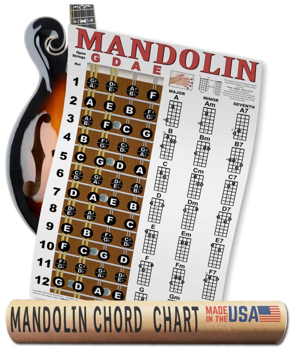 Mandolin Classic Style Easy Chord & Fretboard Note Chart Instructional Poster for Beginners Chords & Notes A New Song Music 11"x17"