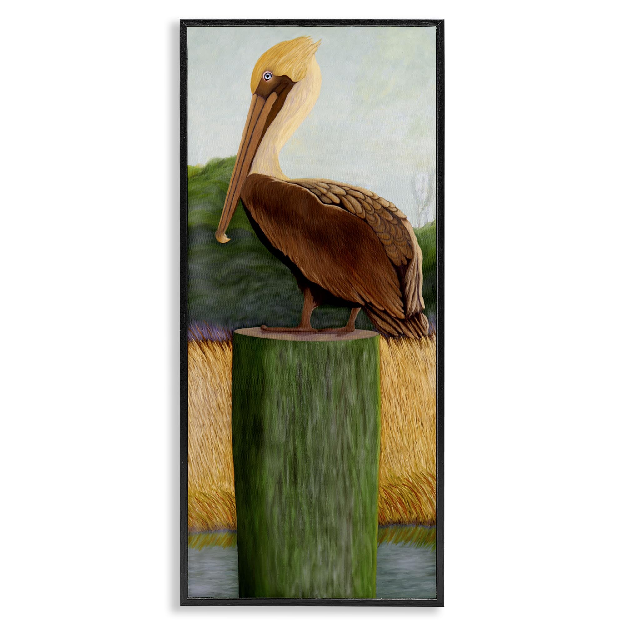 Stupell Industries 'Blue Eyed Pelican', Framed Giclee Art, Black, 13 x 30 Inches, Easy to Hang and Sturdy, Made in USA, by Barbara Fallenbaum