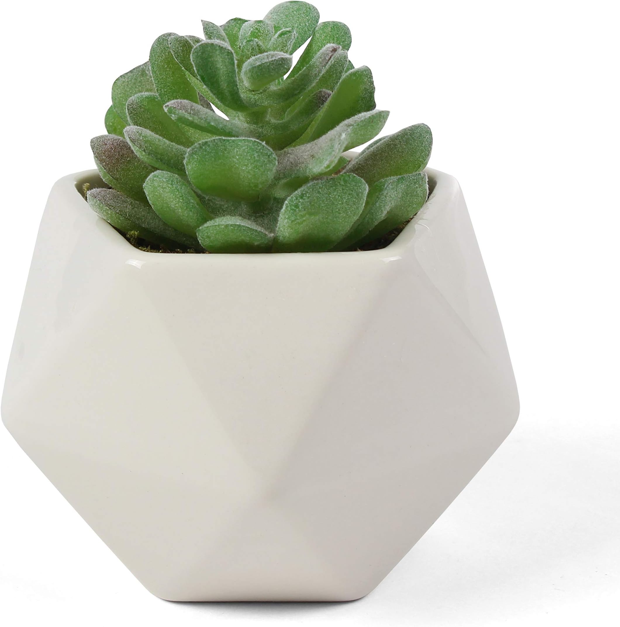 Bornbridge Artificial Succulent - Faux Pachyphytum in Ceramic Geometric Planter - Single Potted Plant