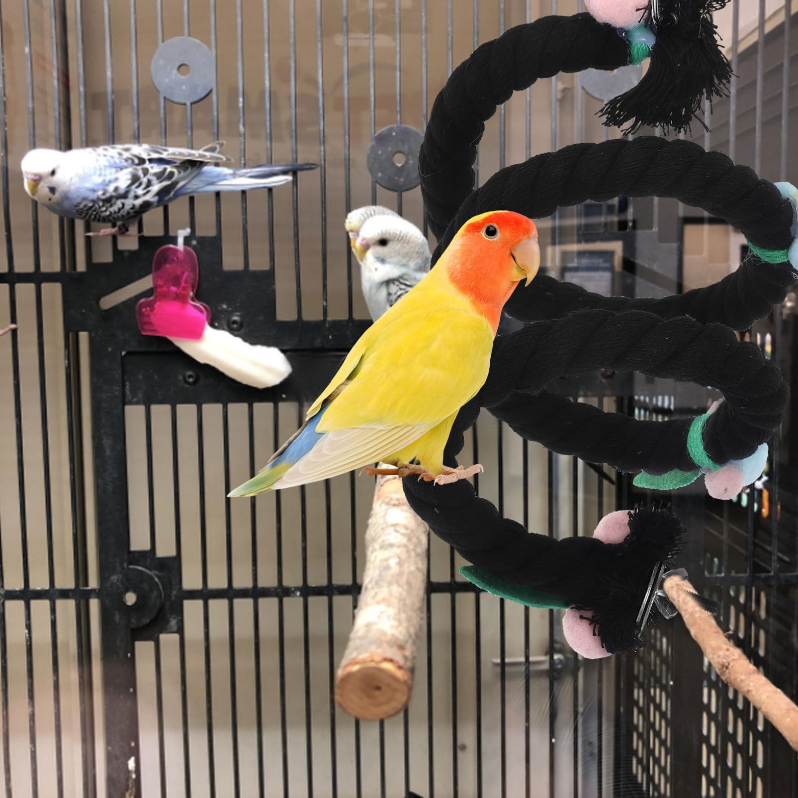 BESPORTBLE 4pièces Balancelle Corde pour Oiseaux Support pour Perroquet Accessoire De Jouet pour Cage à Oiseaux pour Grimper Et Reposer