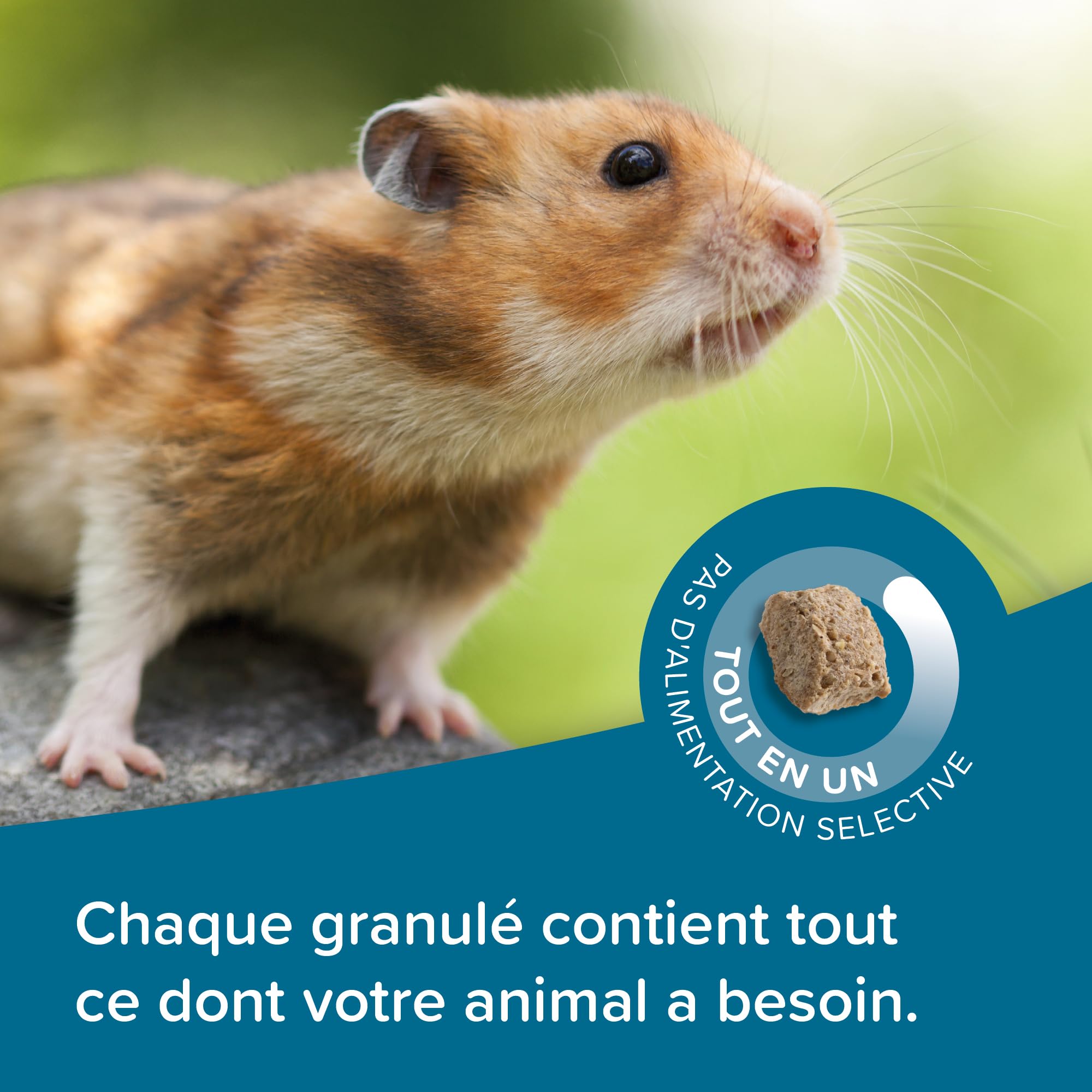 BEAPHAR – Care+ – Alimentation Super Premium extrudée pour Hamster – avec protéines animales – Haute digestibilité & Valeur énergétique – Usure Naturelle des Dents – sans sucres ajoutés – 700g
