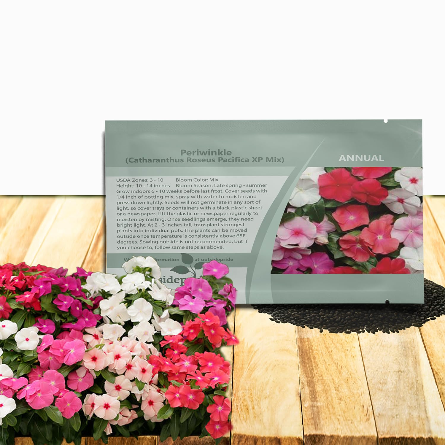 Amazon.com: Outsidepride Pacifica XP Mix Periwinkle Seeds for