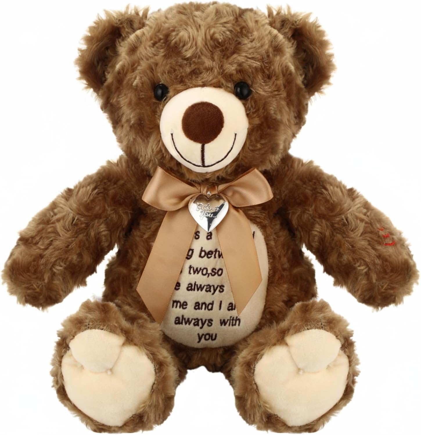 12 Inch Bear Stuffed Animals with Voice Recorder Photo Pendant Set Cute Soft Plush Bear Messages Playback Stuffed Animals with Zipper for Boys Girls(Dark Brown)