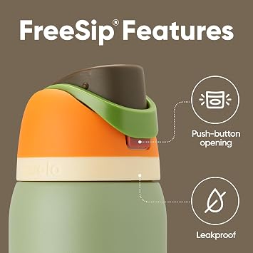 Owala FreeSip Insulated Stainless Steel Water Bottle with Straw for Sports and Travel, Leak Proof, BPA-Free, 945ml, Camo Cool