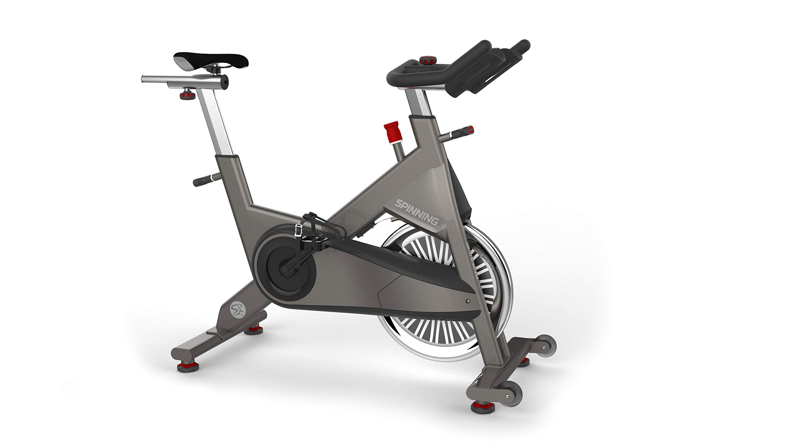 Spinning Spinner P3 Chain-Drive Indoor Cycling Home Stationary Bike, Free Three-Month Digital App