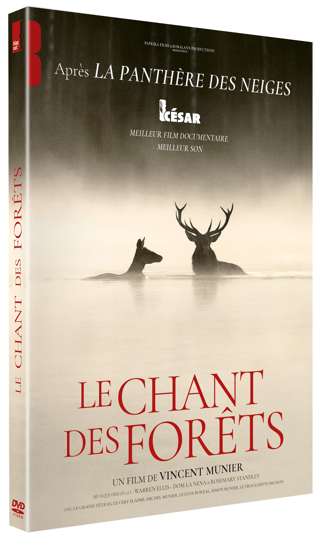 Le chant des forêts DVD une ode poétique à la beauté sauvage de nos arbres