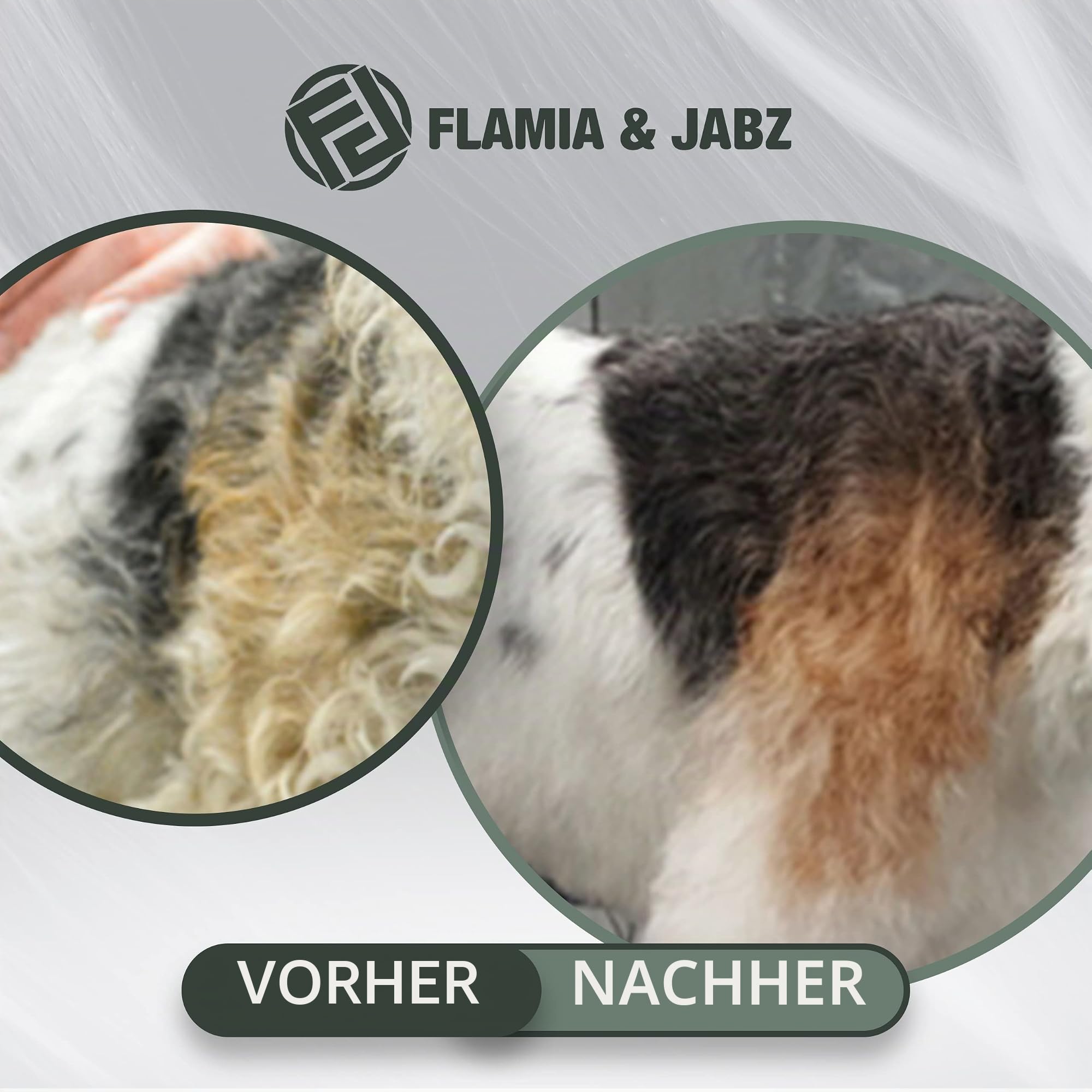 FLAMIA & JABZ Metallsteine und Nagelfeile für Hunde, Katzen und Haustiere, 3 Stück
