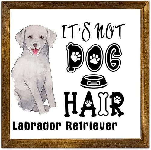 Vista 152 de Letrero de madera con texto en inglés «It's Not Dog Hair» («It's Not Dog Hair» American Bully Dog Dog), regalo decorativo para la pared del hogar