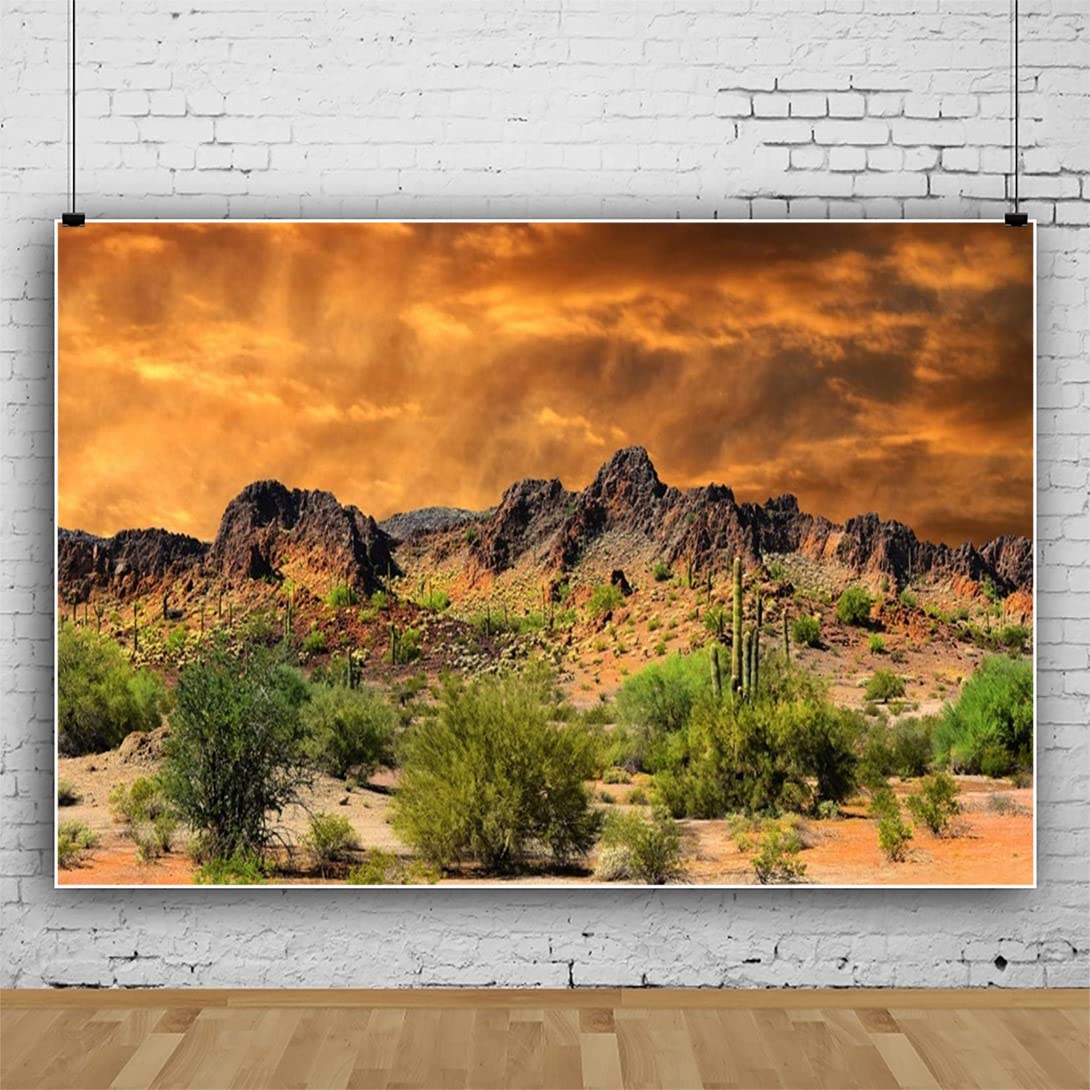 Laeacco Fotohintergrund „Dusk Desolate Desert“ – 3,6x2,4 M Vinyl | Sonnenuntergang, Kakteen, Landschaft Für Studio