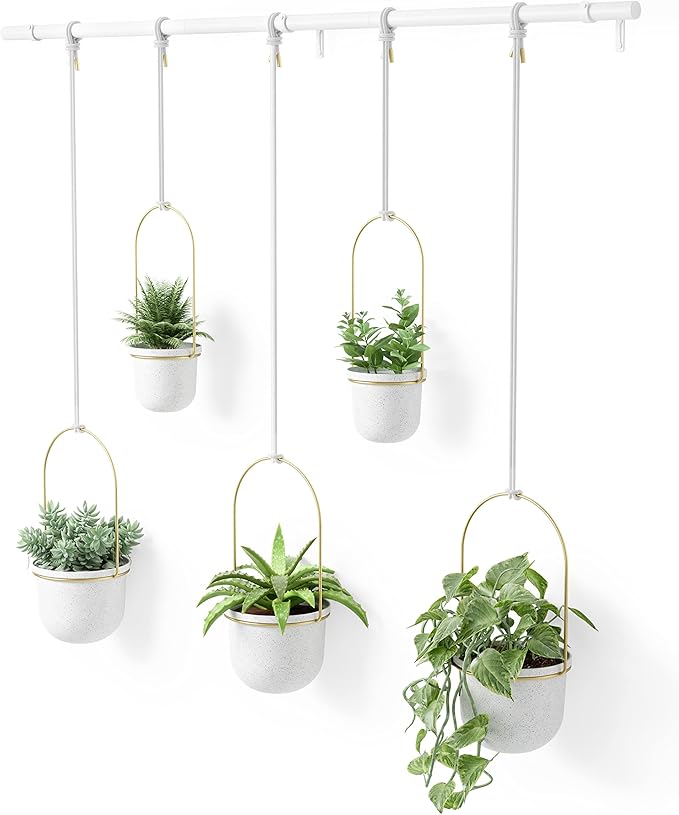 驚きの価格が実現 ハンギングプランター アンブラ Umbra トリフローラ 5カップ ラージ Toriflora 5 Hanging Planters Rod ホワイト ブラス Fucoa Cl 驚きの価格が実現 ハンギングプランター アンブラ Umbra トリフローラ 5カップ ラージ Toriflora 5 Hanging Planters Rod ホワイト ブラス Fucoa Cl