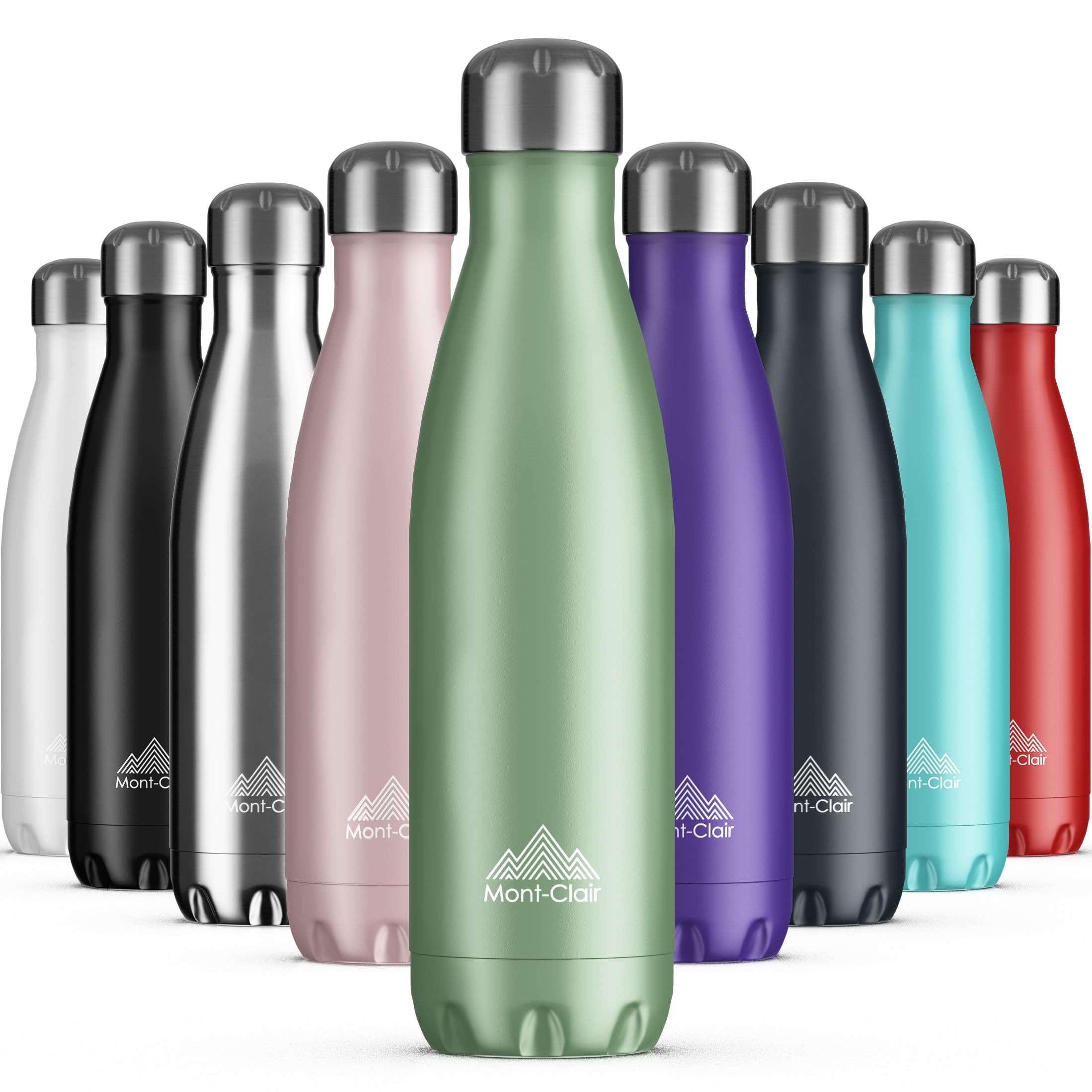Stainless Steel Water Bottle, Vacuum Insulated, Hot and Cold, 17oz