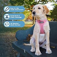 Vista 3 de Best Pet Supplies Voyager Step-In Air - Arnés para mascotas con malla para todo tipo de clima, reflectante, arnés sin tirón para perros y gatos