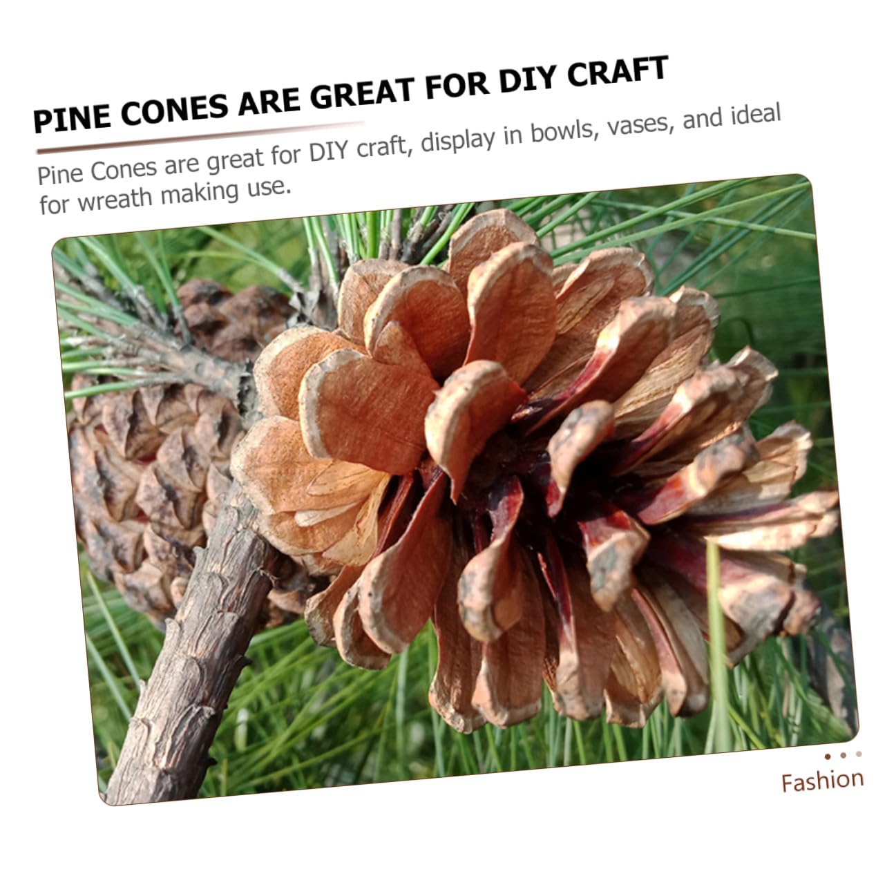 Sewroro Piñas Naturales Grandes 5-7 CM 30 Piezas para Manualidades Decoración Navideña Colgante Adornos Rústicos para Árbol de Navidad Fiestas y Proyectos DIY