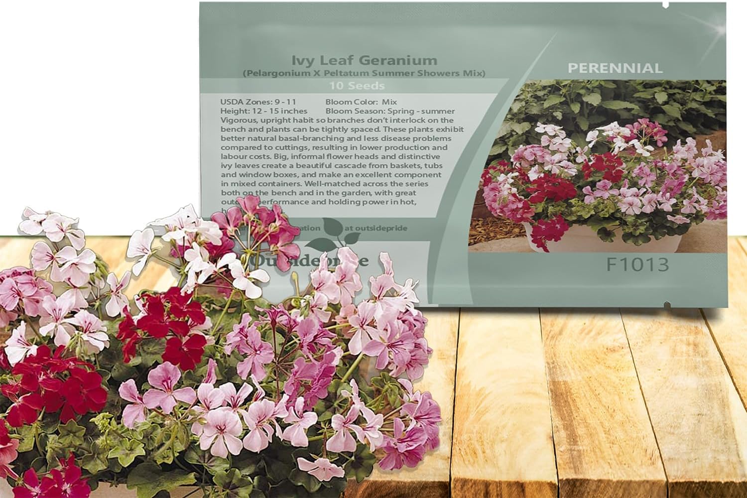 Outsidepride Mix Ivy Leaf Geranium Seeds for Planting - 10 Pcs Perennial, Heat & Drought Tolerant Flower Seeds with Green Foliage & Mix Blooms for Pots, Borders & Lush Summer Garden Displays