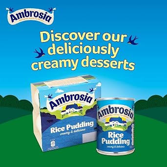Ambrosia Devon Rice Pudding, 14.1 Ounce Cans (Pack of 12)