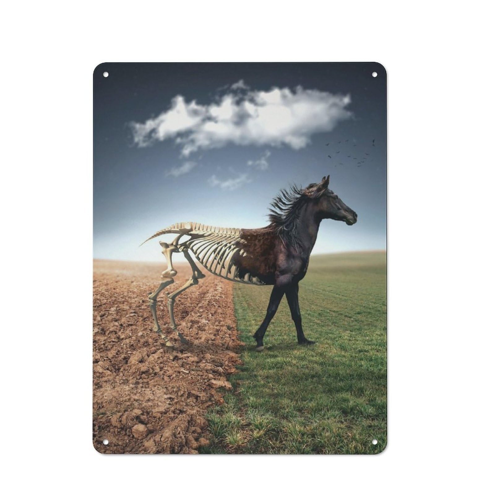 Junmoney The Double Sided Horse Tin Wall Plaque 40X30cm With For Hobby Room Or Studio, For Metal Sign Collectors, For Kitchen And Home Bar Decor