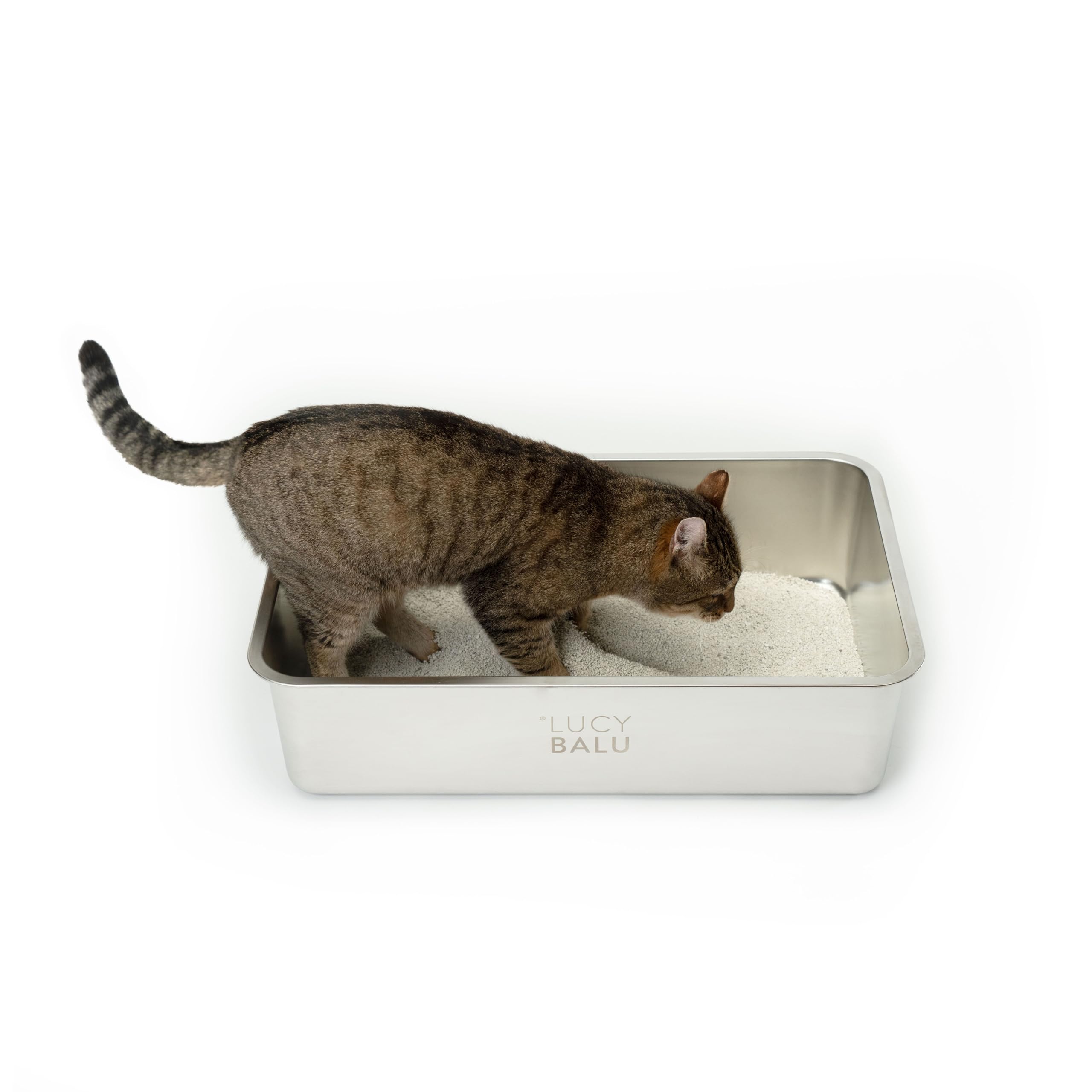 LucyBalu® STEELOO Katzenklo aus Edelstahl I XXL Katzentoilette ohne Deckel mit hop-in Oben-Einstieg I hygienisch, geruchsfrei & leicht zu reinigen I 59,5 × 39,5 × 15,5 cm I Edelstahl