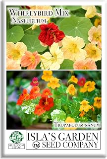 WhirlyBird Mix Nasturtium Seeds (Tropaeolum nanum) – 50+ Heirloom Non-GMO Seeds by Isla’s Garden Seeds, Semi-Trailing Edible Blooms, Vibrant Colors, Perfect for Borders, Containers & Hanging Baskets
