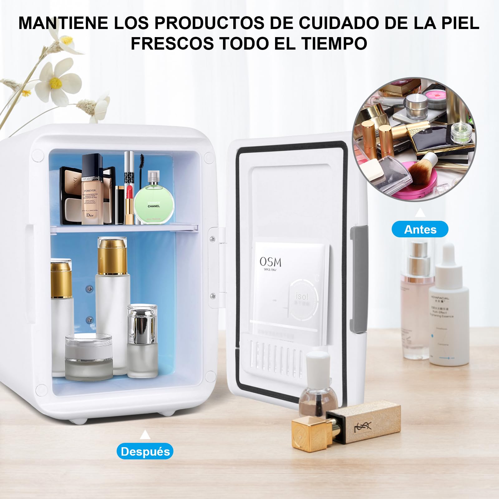 Nevera Pequeña - Mini Nevera, 4L Comética Pequeña Nevera para Dormitorio, CA 220V/ CC 12V para Coche, Mini Neveras Para Habitacion (Blanco)