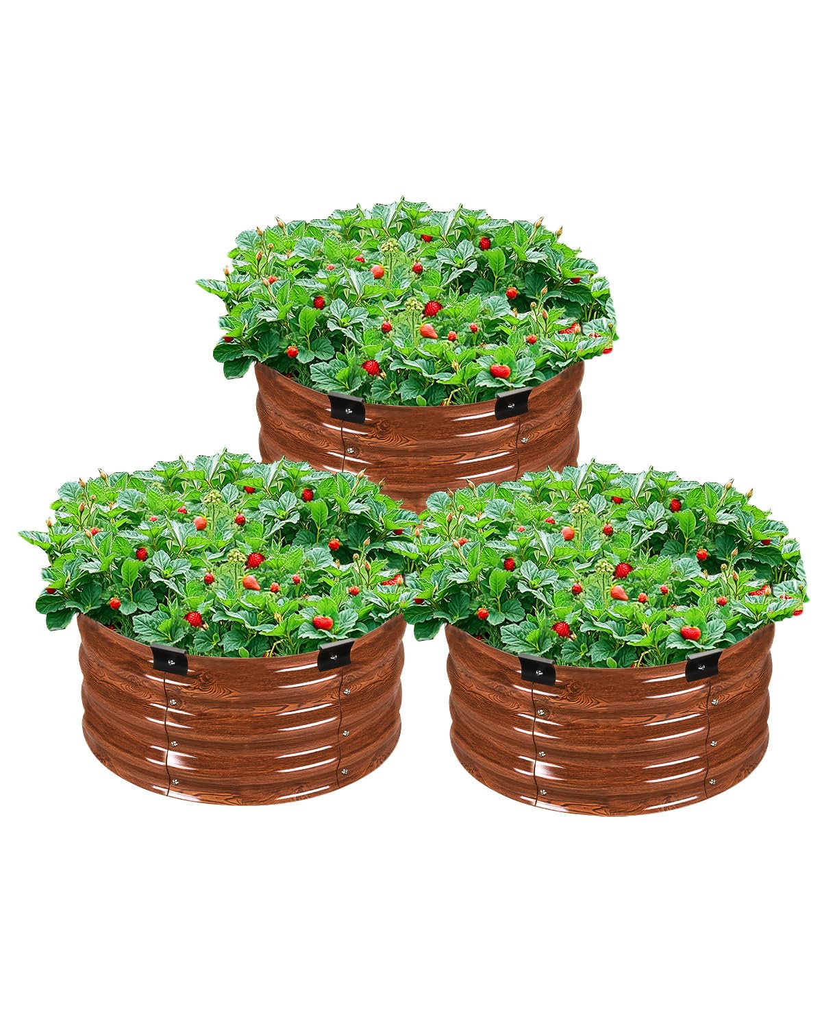 Metalen Verhoogde Plantenbak, 590x265mm, Set Van 3 590x265mm P 010419482803 Metalen Verhoogde Plantenbak, 590x265mm, Set Van 3 590x265mm P 010419482803