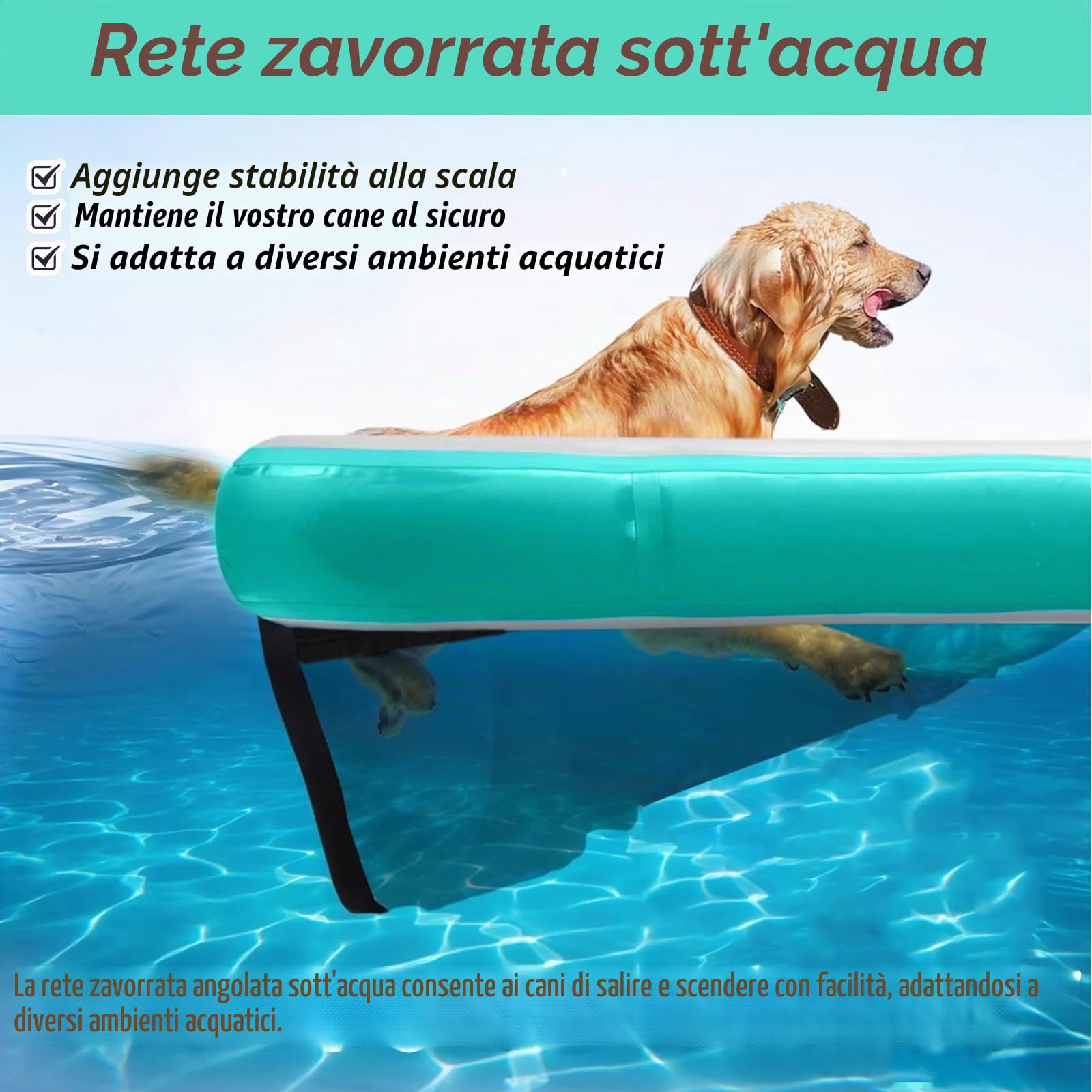 rampa gonfiabile per cani Rampa Per Piscina Per Cani Di Grossa Taglia, Rampa D'acqua Per Cani Pieghevole Con Cuscinetto Antiscivolo In Bacino Galleggiante
