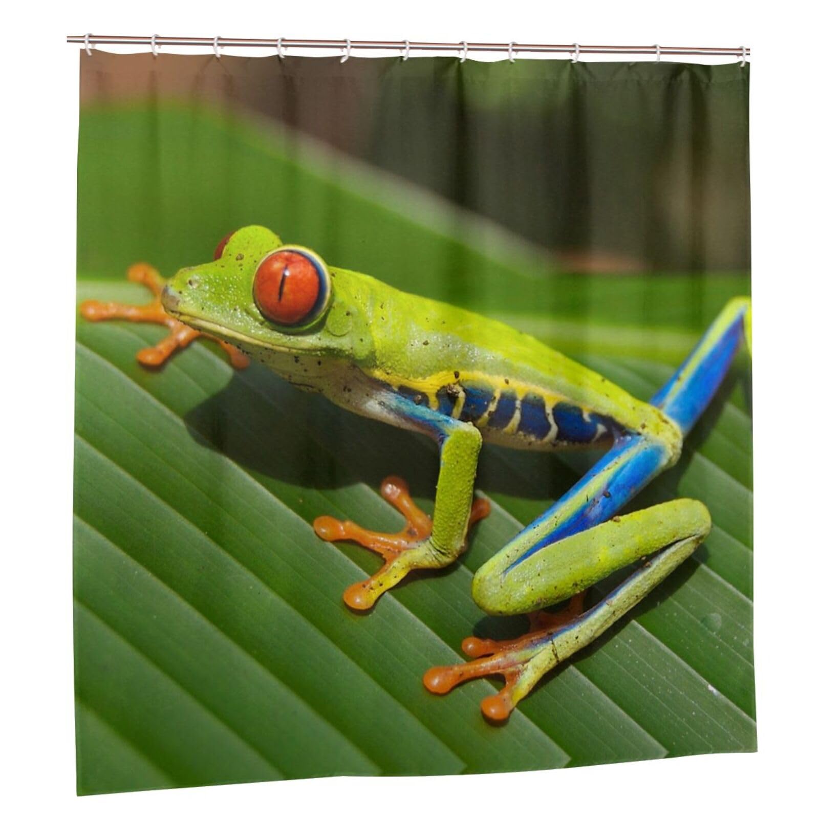Rideau de douche imperméable grenouille pour stopper les éclaboussures sur le sol de salle de bain