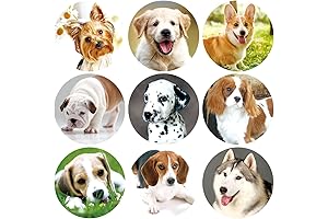 Dog Stickers Puppy Sticker 200 pcs for Kids Party Favor Envelope Seal Stickers Classroom Reward