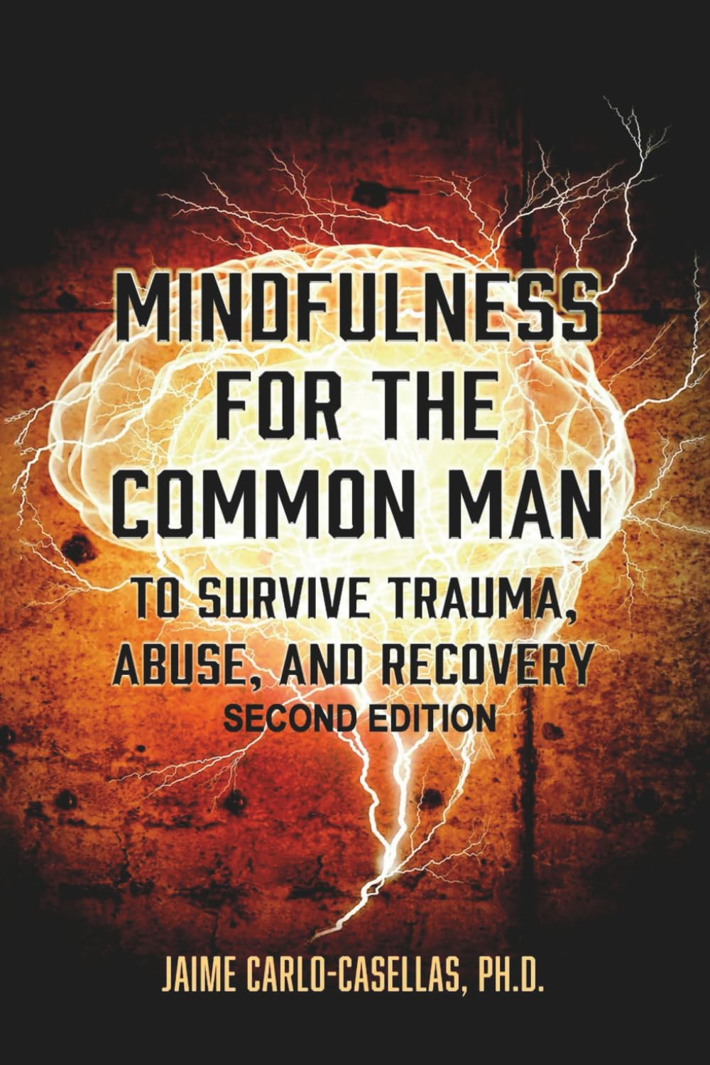 Mindfulness for the Common Man: To Survive Trauma, Abuse, and Recovery