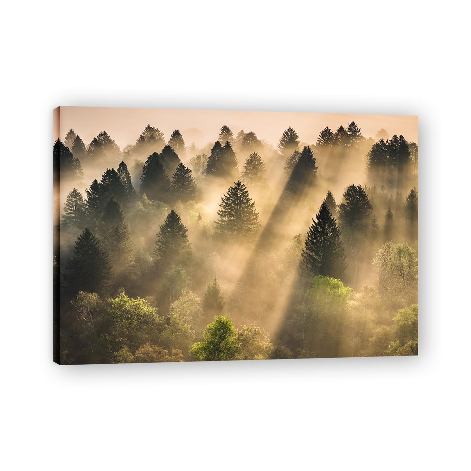 VHdfgTY Light PenetrationNature Landscape Wall Art Canvas Mountain Scenery Print Home Decoration 50x70cm Framed