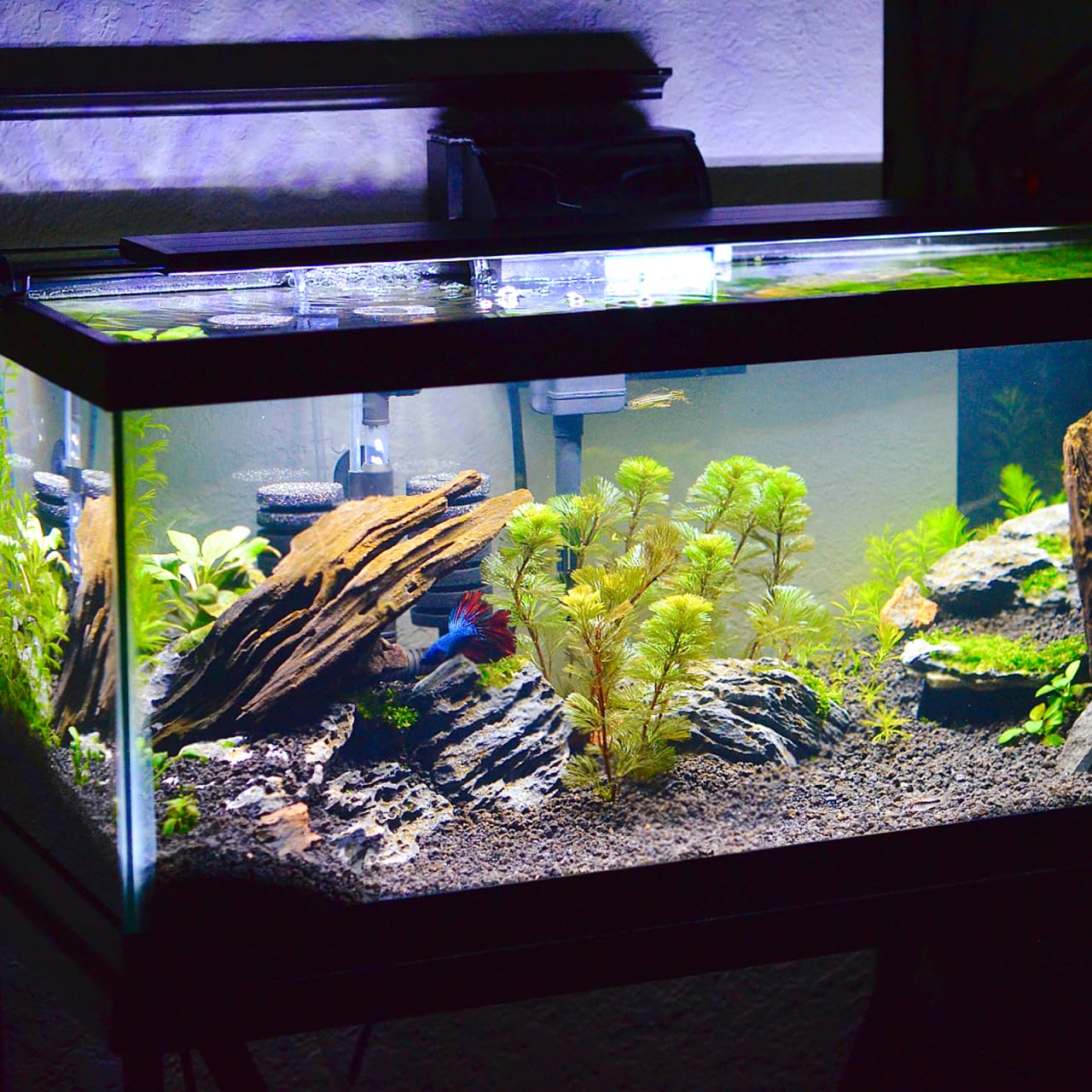 Garneck Tappetino per acquario 40 x 30 cm – ispessito – Tappetino in schiuma antiscivolo per un livellamento ottimale e una protezione del piano del tavolo – Accessori impermeabili per acquari